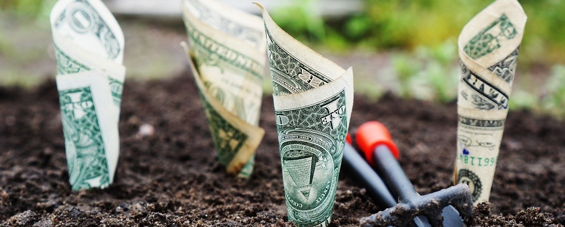 US dollar notes growing out of soil money growing out of soil