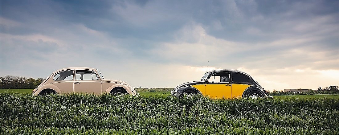 two-vintage-cars-in-the-grassfield two-vintage-cars-in-the-grassfield
